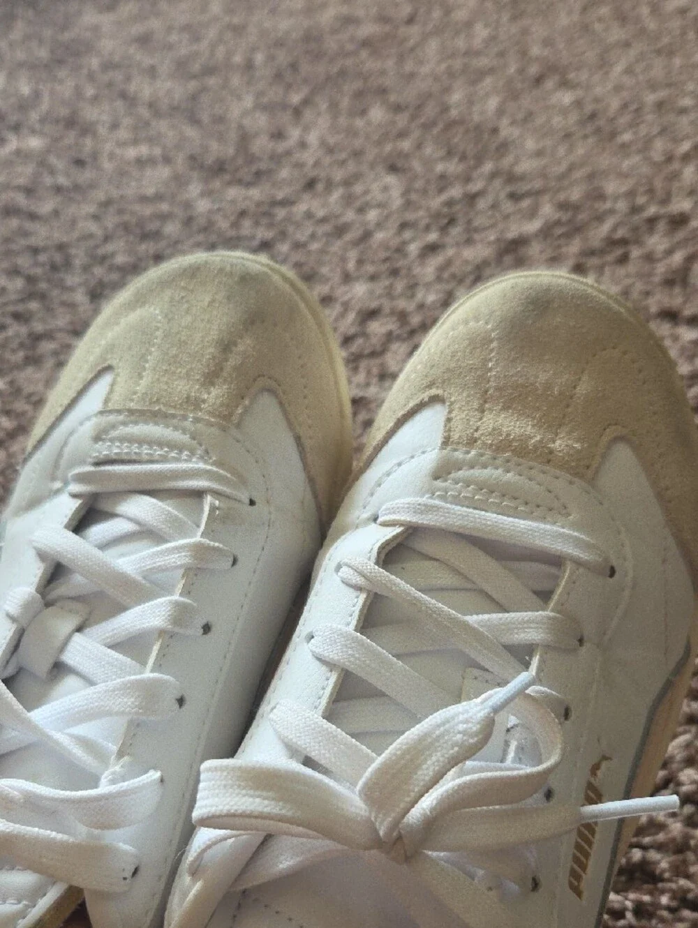Puma club 5v5